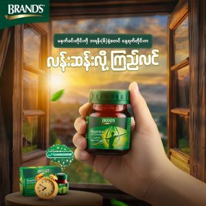 Brand's Essence of Chicken - Product | MM-Mart Japan
